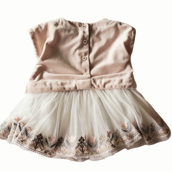 Max Studio Velvet and Tulle Embroidered Dress - Picture 2 of 4